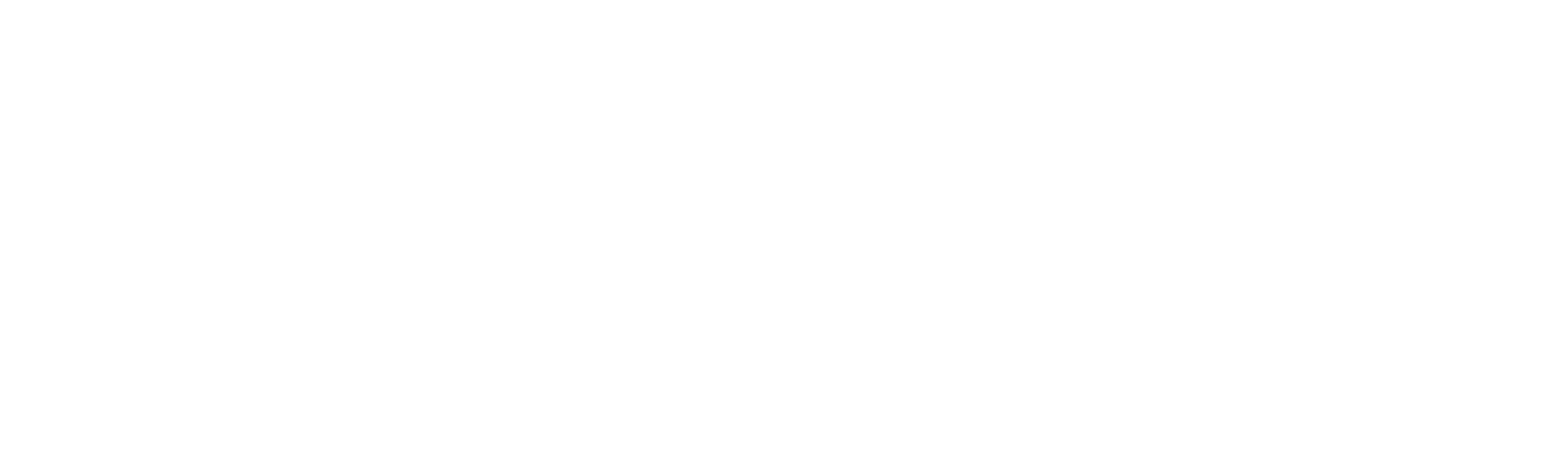Anima™