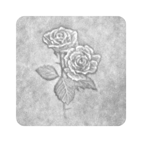 ROSES_HDVISION ROSES_HDVISION
